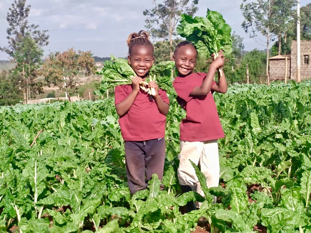 Two children holding freshly harvested leafy vegetables.