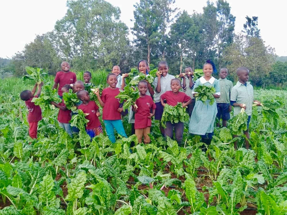 Child participating in agriculture and garden learning